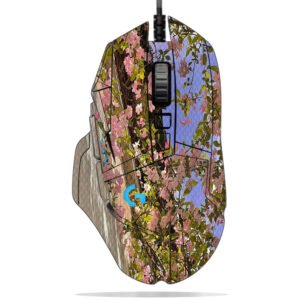 Begonia Against Wall