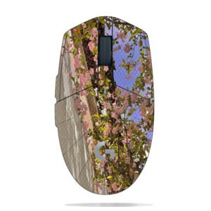 Begonia Against Wall