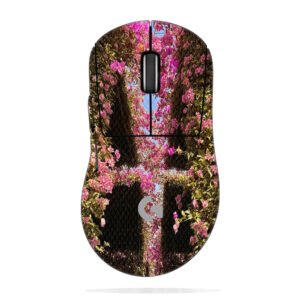 Bougainvillea Corridor