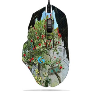 Camellia Framed View