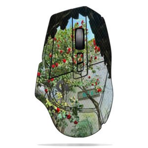 Camellia Framed View