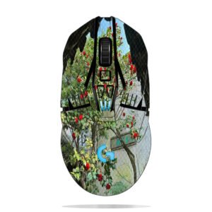 Camellia Framed View