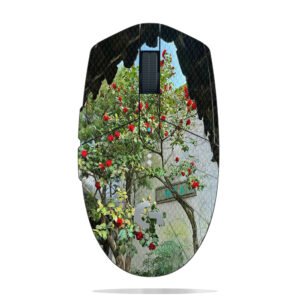 Camellia Framed View