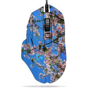 Cherry Blossoms & Building