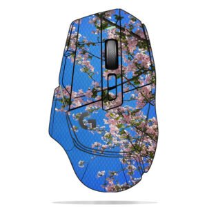 Cherry Blossoms & Building