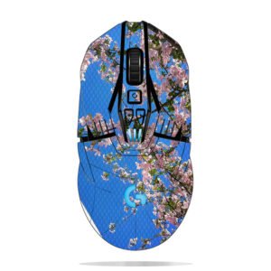 Cherry Blossoms & Building