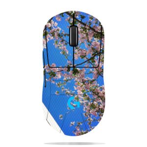 Cherry Blossoms & Building