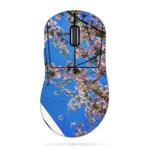 Cherry Blossoms & Building