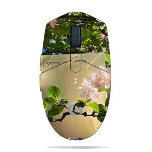 Cherry Blossoms & Card