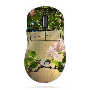 Cherry Blossoms & Card