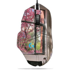 Cherry Blossoms & Classroom