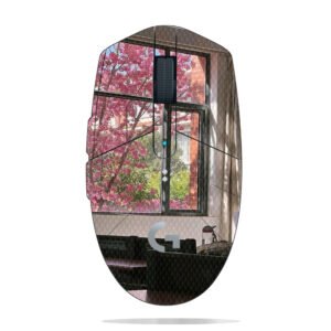 Cherry Blossoms & Classroom