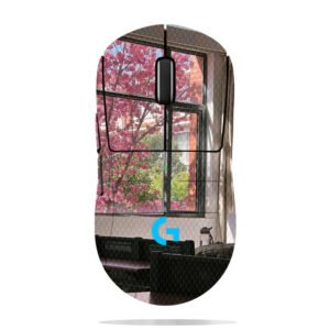 Cherry Blossoms & Classroom