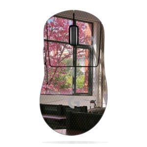 Cherry Blossoms & Classroom