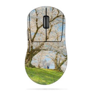 Cherry Blossoms & Figures