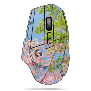 Cherry Blossoms & Green Leaves