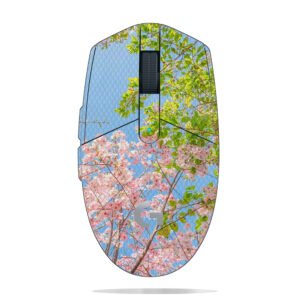 Cherry Blossoms & Green Leaves