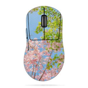 Cherry Blossoms & Green Leaves