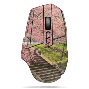 Cherry Blossoms & Stairs