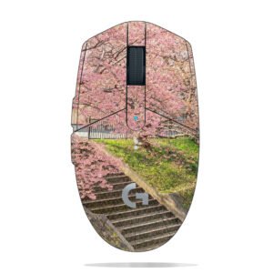 Cherry Blossoms & Stairs