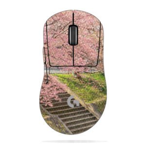 Cherry Blossoms & Stairs