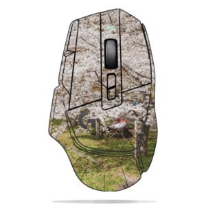 Cherry Blossoms and People