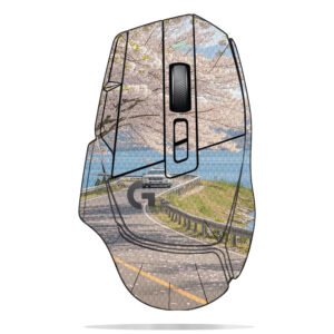 Cherry Blossoms by Lake