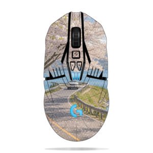 Cherry Blossoms by Lake