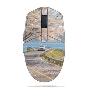 Cherry Blossoms by Lake