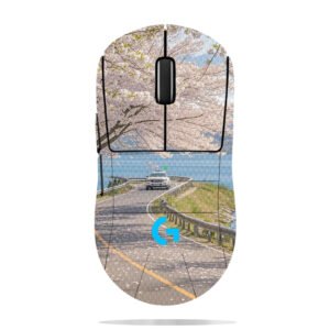 Cherry Blossoms by Lake