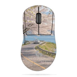 Cherry Blossoms by Lake