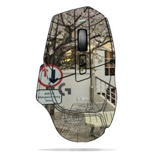 Cherry Blossoms in Seoul