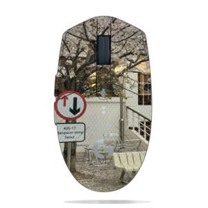 Cherry Blossoms in Seoul