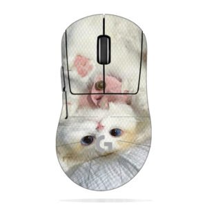 Cute Cat with Pink Bow