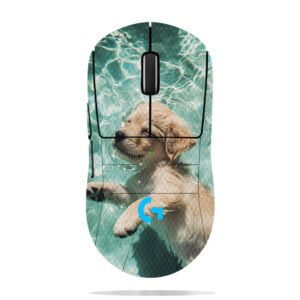 Golden Retriever Puppy Swimming