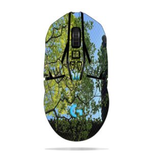 Green Trees Framing Sky