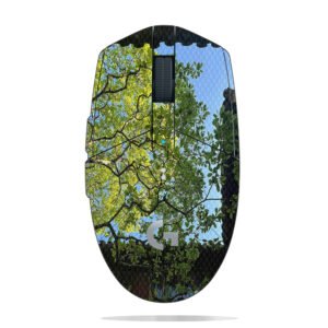 Green Trees Framing Sky