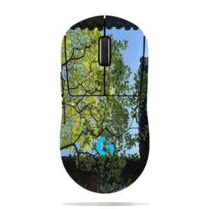 Green Trees Framing Sky