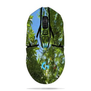 Green Trees and Blue Sky