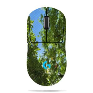 Green Trees and Blue Sky