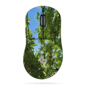 Green Trees and Blue Sky