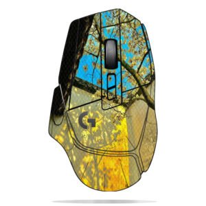 Magnolia Light Shadow