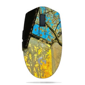 Magnolia Light Shadow