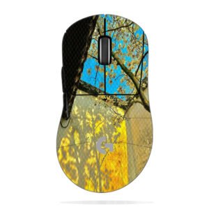 Magnolia Light Shadow