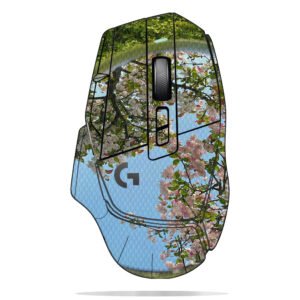 Mirror & Cherry Blossoms