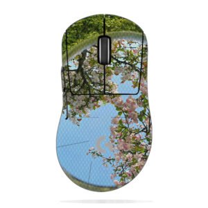 Mirror & Cherry Blossoms