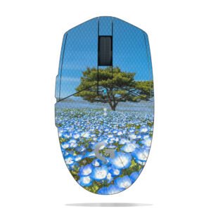 Nemophila Field