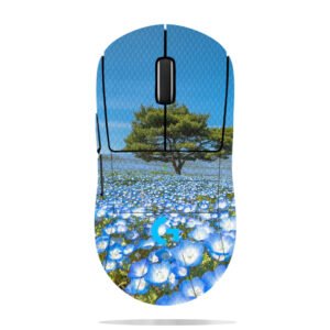 Nemophila Field