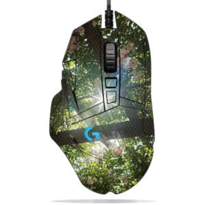 Rose Flowers with Sunlight