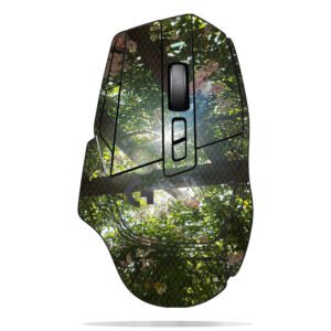 Rose Flowers with Sunlight